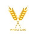 Wheat ears or rice icon. Crop, barley or rye symbol isolated on white background. Design element for beer label or bread packaging Royalty Free Stock Photo